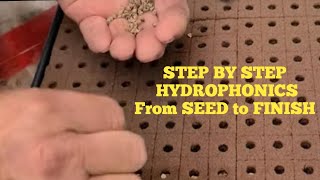 Hydroponic Seed to Finish STEP BY STEP [upl. by Lindgren]