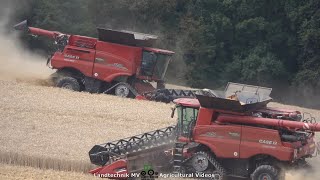 Case  John Deere  Getreideernte  Grain Harvest 2021 [upl. by Itin678]