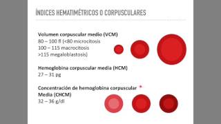 Biometría hemática Serie roja [upl. by Elegna]