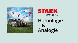 Homologie und Analogie  STARK erklärt [upl. by Rossy]