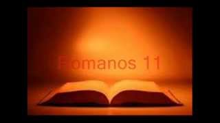 BIBLIA HABLADA ROMANOS COMPLETO RV 1960 [upl. by Zantos]