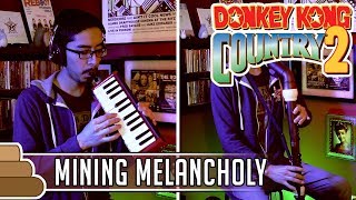 David Wise  Mining Melancholy Donkey Kong Country 2 [upl. by Rysler681]