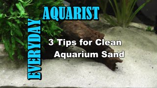 3 Tips for Clean Aquarium Sand [upl. by Llerrem544]