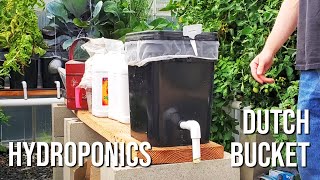 Hydroponics Dutch Bucket Breakdown amp HowTo [upl. by Anileva961]