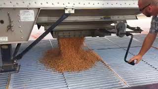 Grain Dump Pit  Unload a Semi in 1 minute [upl. by Eimia]