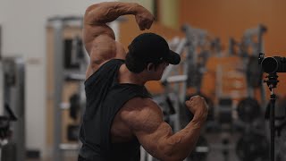 IFBB Pro Arm Workout [upl. by Bryana]