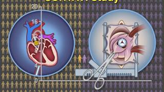 TGH Patient Education TAVR Procedure  English [upl. by Debbie]