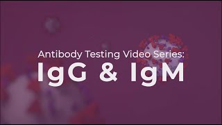 Antibody Testing IgG and IgM explained [upl. by Joacima900]