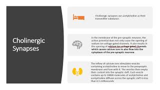 Chapter 154 Synaptic Transmission [upl. by Vandyke]