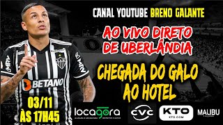 🛑 AO VIVO 🛑CHEGADA DO GALO EM UBERLÂNDIA [upl. by Novaat]