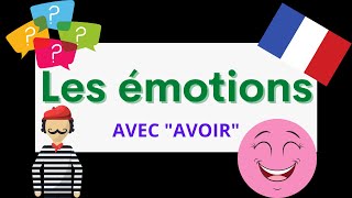 Les émotions  Expressions avec AVOIR  A1 French for Beginners [upl. by Hoo498]