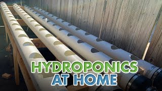 Hydroponics at Home [upl. by Ddat]