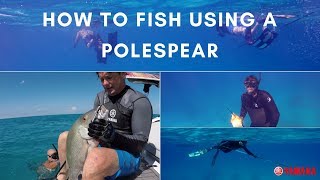 How To Spearfish Using A Polespear [upl. by Yennep665]