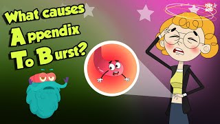 Why Appendix Burst  APPENDIX  Dr Binocs Show  Peekaboo Kidz [upl. by Idorb653]