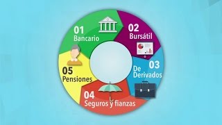 El Sistema Financiero Mexicano [upl. by Eibreh707]