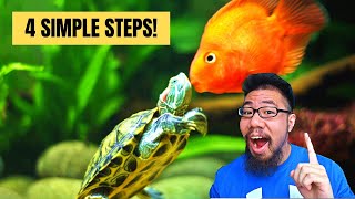 How To Keep Fish With Turtles [upl. by Taub]