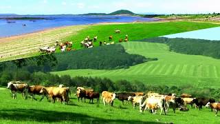 South Moravian Region  Czech Republic HD1080p [upl. by Thamos]