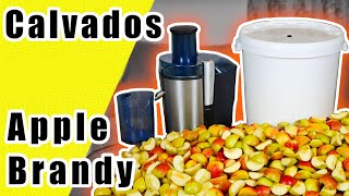 How To Make Apple Brandy At Home  Calvados [upl. by Bernice589]