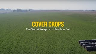 Cover Crops The Secret Weapon to Healthier Soil [upl. by Jefferson97]