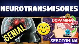 TODO SOBRE LOS NEUROTRANSMISORES  CLASIFICACIÓN Y FUNCIONES [upl. by Marguerita]