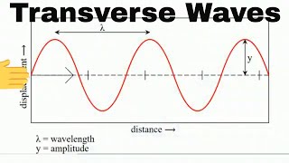 Anatomy of a Transverse Wave [upl. by Rae]