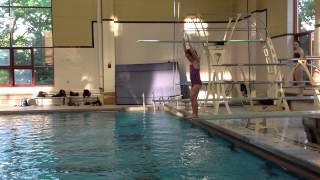 Teach a Flip for Springboard Diving [upl. by Laurena644]