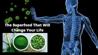 The Amazing Health Benefits Of Spirulina And Chlorella [upl. by Ecnarolf]