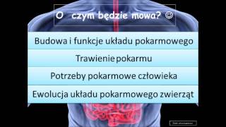 Układ pokarmowy człowieka i zwierząt  teoria maturalna [upl. by Nortal]