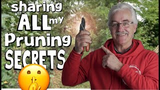 3 SIMPLEST STEPS to PRUNING your FRUIT TREES [upl. by Gertruda]