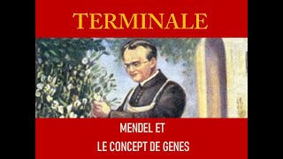 Mendel et le concept de gène [upl. by Diarmit]