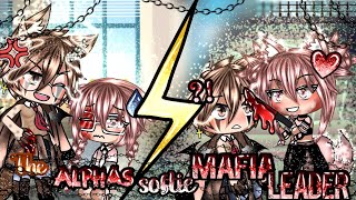 🐺The Alphas softie Mafia Leader🔪GLMM original storylineGacha Life [upl. by Seka776]