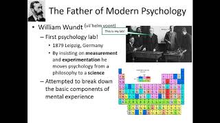 Structuralism amp Functionalism [upl. by Balthasar]