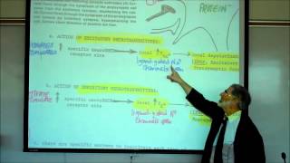 SYNAPTIC TRANSMISSION IN THE CNS PART 1 by Professor Fink [upl. by Dorsey752]