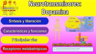 Neurotransmisores  Sistema nervioso central  Dopamina  Dopamina neurotransmisor [upl. by Rese496]