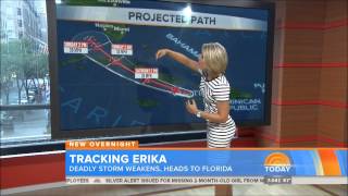 Dylan Dreyer The Today Show [upl. by Ahseekal]