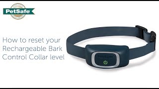 How To Reset Your Rechargeable Bark Control Collar Level [upl. by Maurilia303]