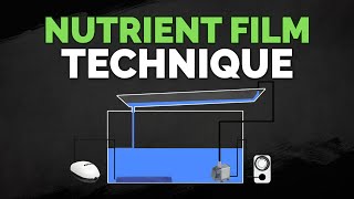 Nutrient Film Technique NFT Hydroponics System Tutorial [upl. by Steinway]