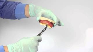 Tutorial 1  extracting forceps [upl. by Burkle]