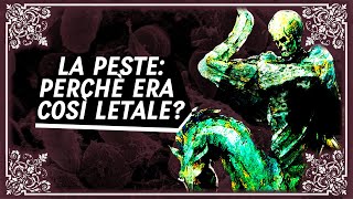 La Peste Nera Trasmissione sintomi e mortalità [upl. by Gleich282]