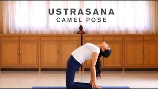 How to do Ustrasana  Camel Pose [upl. by Sura718]