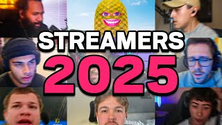 OOZIIE VS STREAMERS 2025 EDITION [upl. by Eesdnyl542]