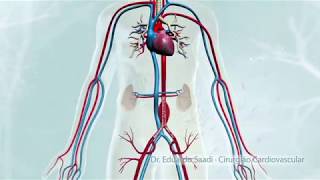 Ausculta cardiaca estenose aortica e insuficiencia aortica [upl. by Baudin]