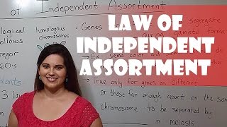 Mendels Law of Independent Assortment [upl. by Harrington]