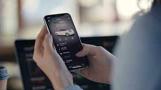 Model 3 Guide  Mobile App [upl. by Lionello]