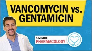 Pharmacology  Vancomycin vs Gentamicin Antibiotics nursing RN PN NCLEX [upl. by Ahsilad246]