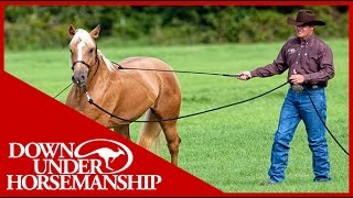 Clinton Anderson Training a Rescue Horse Part 1  Downunder Horsemanship [upl. by Grete]