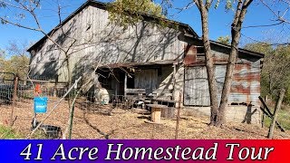 Homestead Tour  2019 Tour of our 41 Acre Homestead [upl. by Bowler]