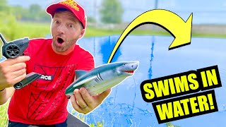 RC SHARK BOAT ADVENTURE Transforms Into Jaws [upl. by Eseila]