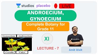 L7 Androecium Gynoecium  Complete Botany Grade 11 PremedicalNEETAIIMS  Amit Dixit [upl. by Zobias]