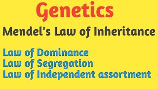 Genetics  Mendels Law of Inheritance  Pravin Bhosale [upl. by Nettie]